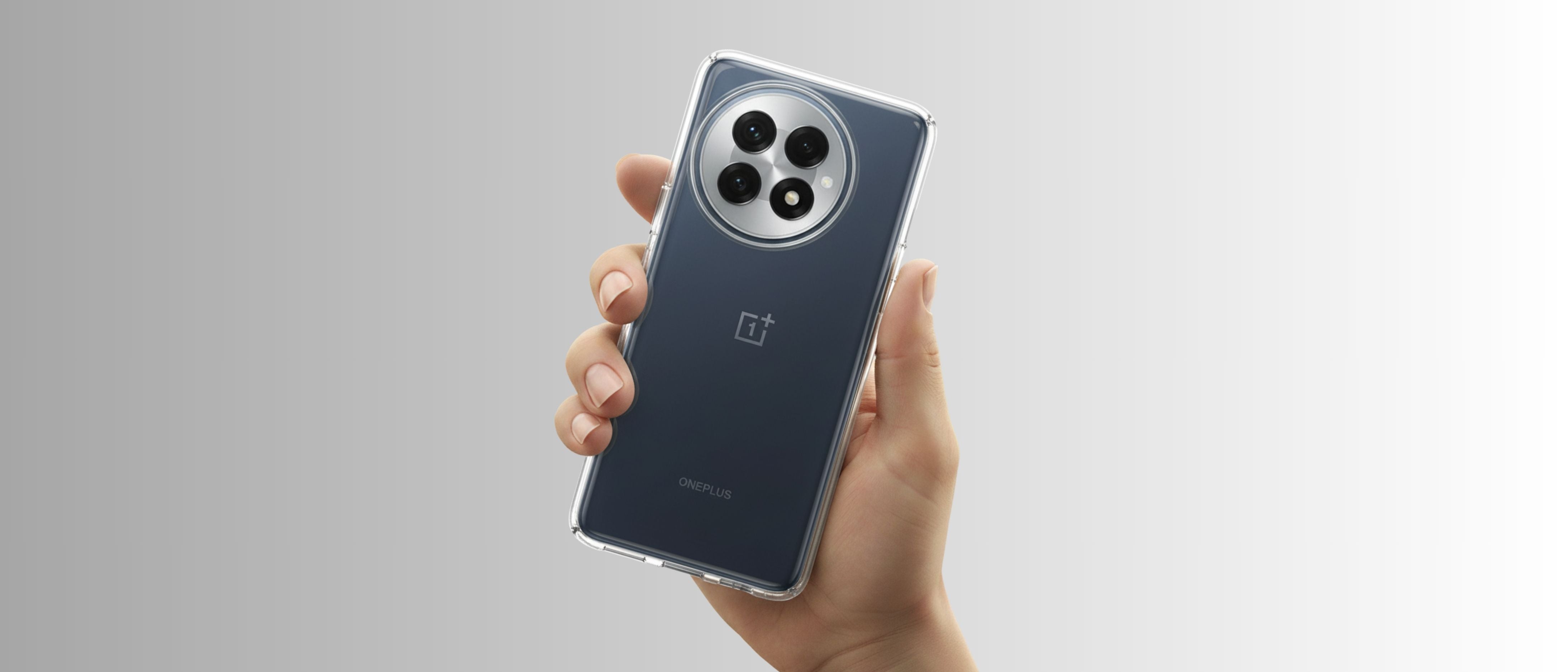 LCDLC>OnePlus>Funda OnePlus 13 5G