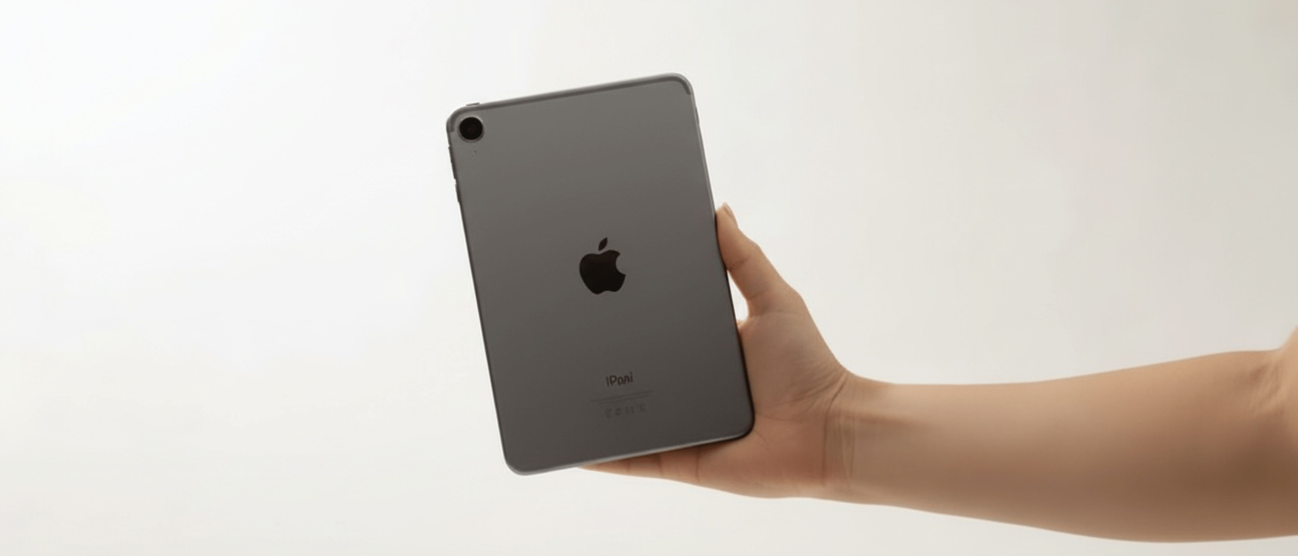 LCDLC>Apple>Funda iPad Mini 6