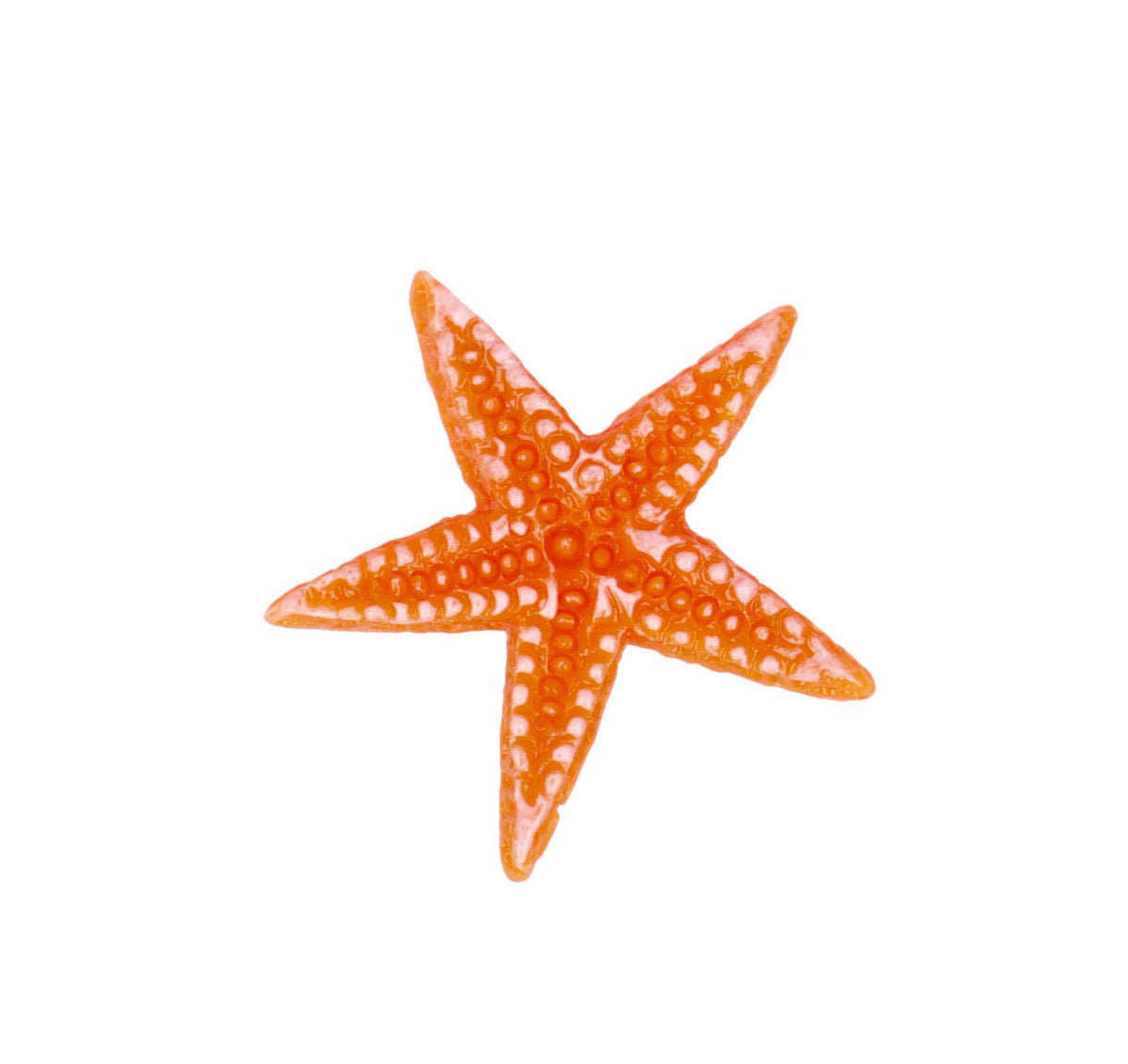 Customize - Sticker Customize Estrella Mar