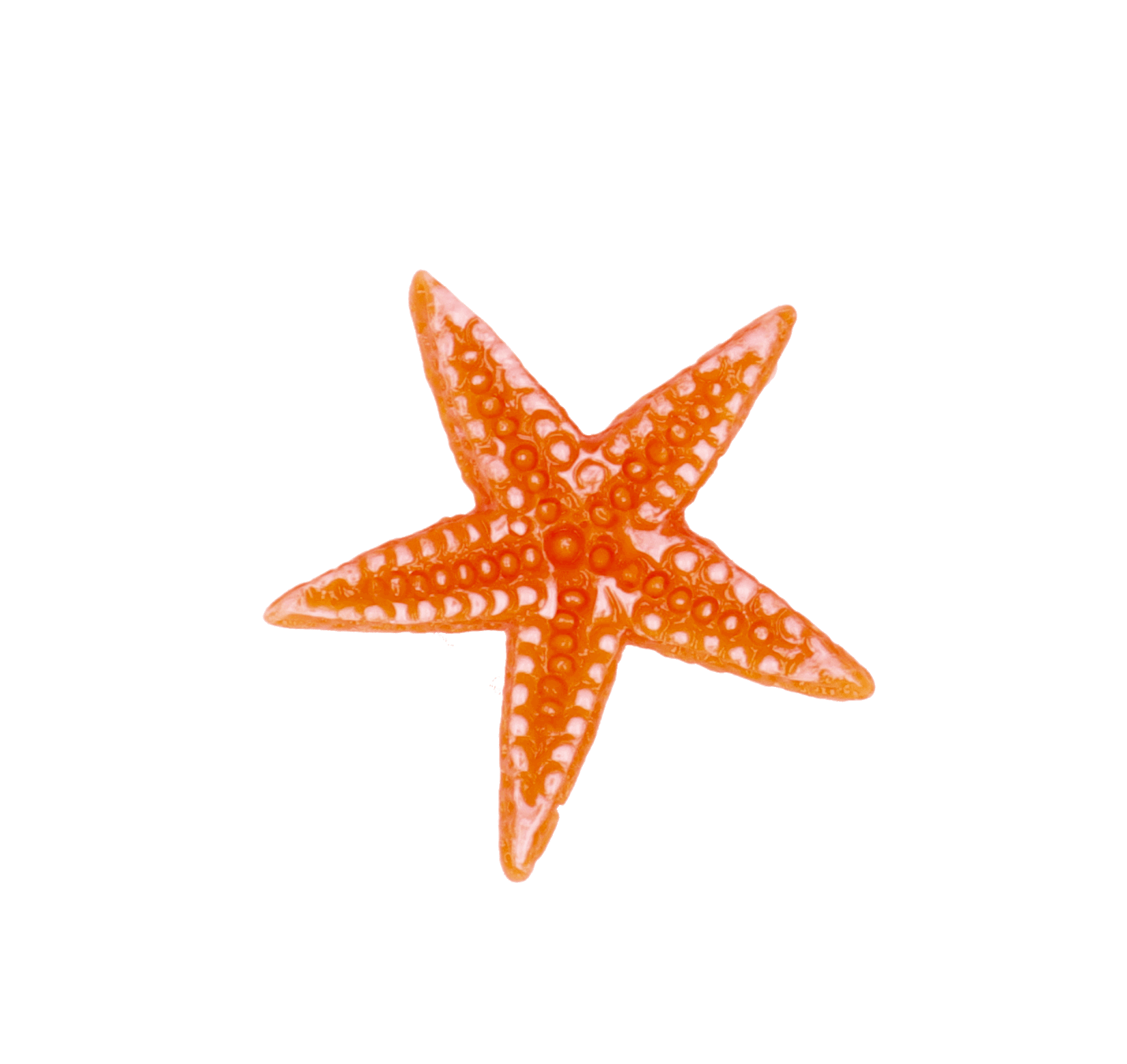 Customize - Sticker Customize Estrella Mar